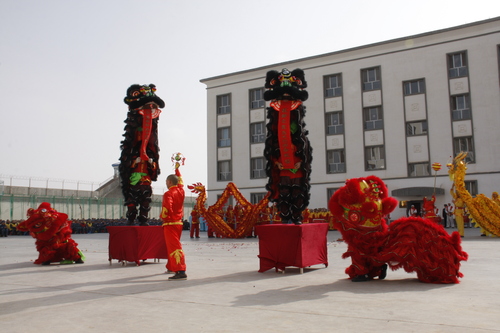 舞龙舞狮表演