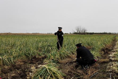 IMG_20161025_161718_1副本 IMG_20161025_161718_1副本