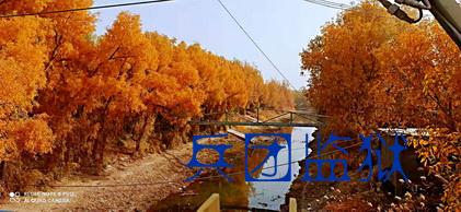 微信图片_20201116094419_调整大小